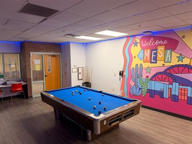 Game Room Billiards