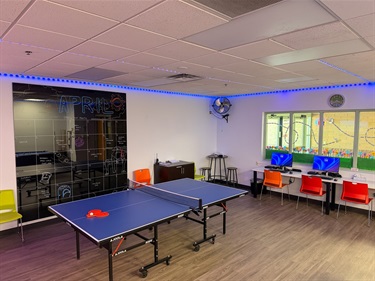 Game Room Pong and Lab