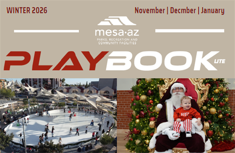 PLaybook Winter 266.png