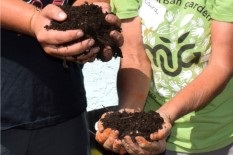 Compost-1.jpg