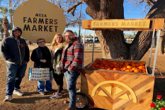 Farmers-Market-1.png