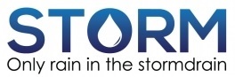 storm logo