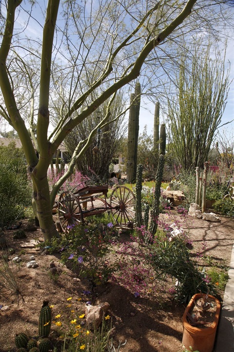 Landscape_combo_ds_14.jpg