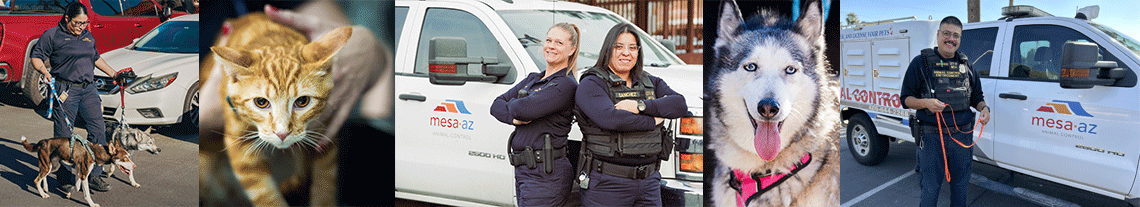 AnimalControl-WebsiteBanner.png
