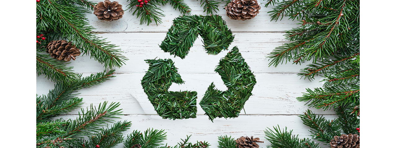 Christmas Tree Recycling