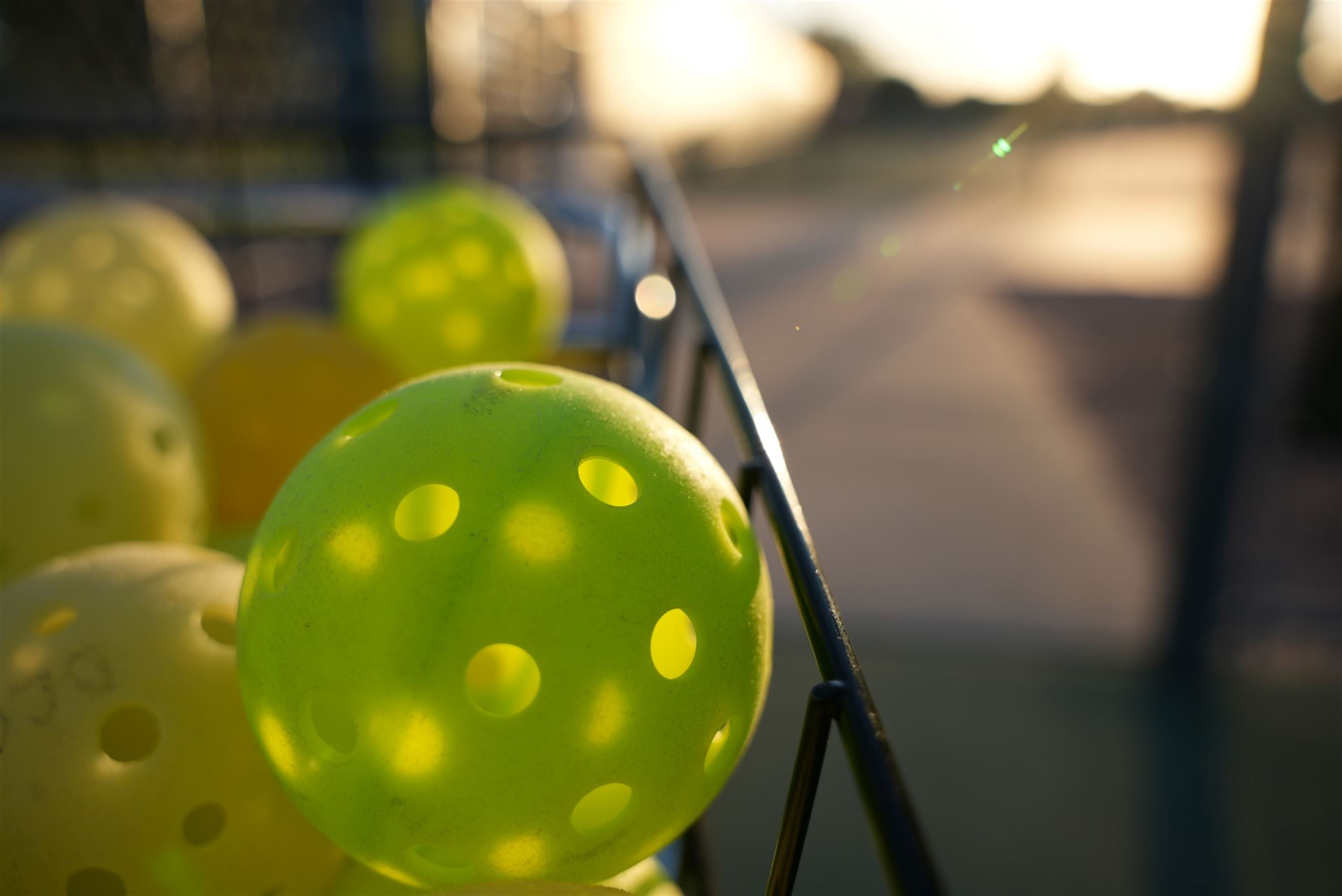 Pickleball decorative