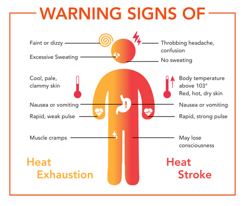 Warning Signs of Heat Exhaustion and Stroke
